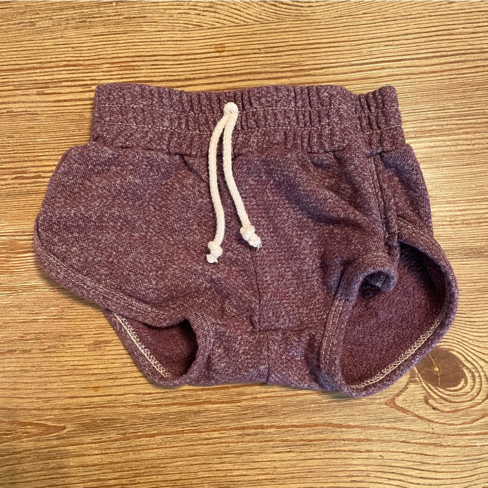 Childhoods Heathered Plum Purple Maroon Shorts